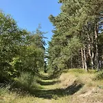 度假居 6 Person In Hadsund-by Traum *